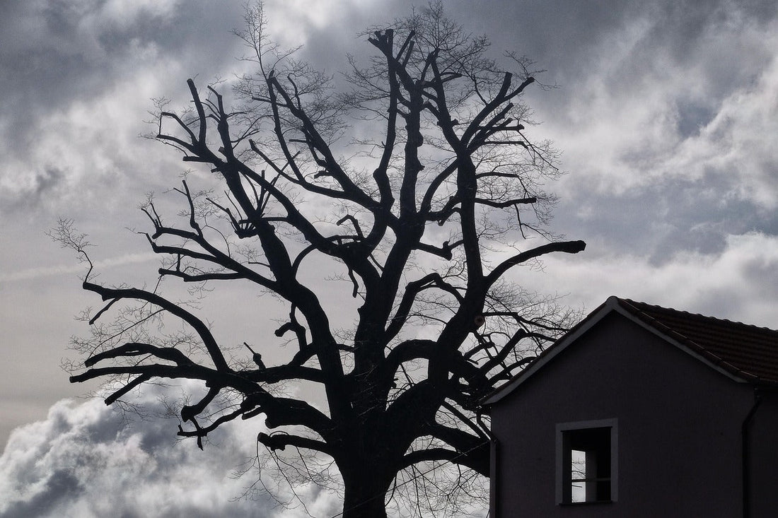 Beyond Spiders and Heights: 25 Rare Phobias You Never Knew Existed